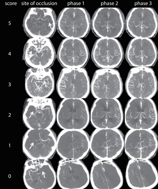 neuroint-2019-00080f1.jpg